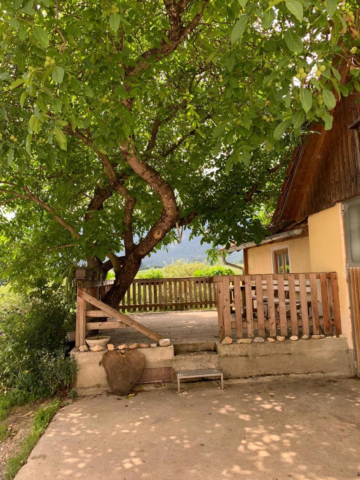 Biohof Goelly Villa Neumarkt in Steiermark Luaran gambar
