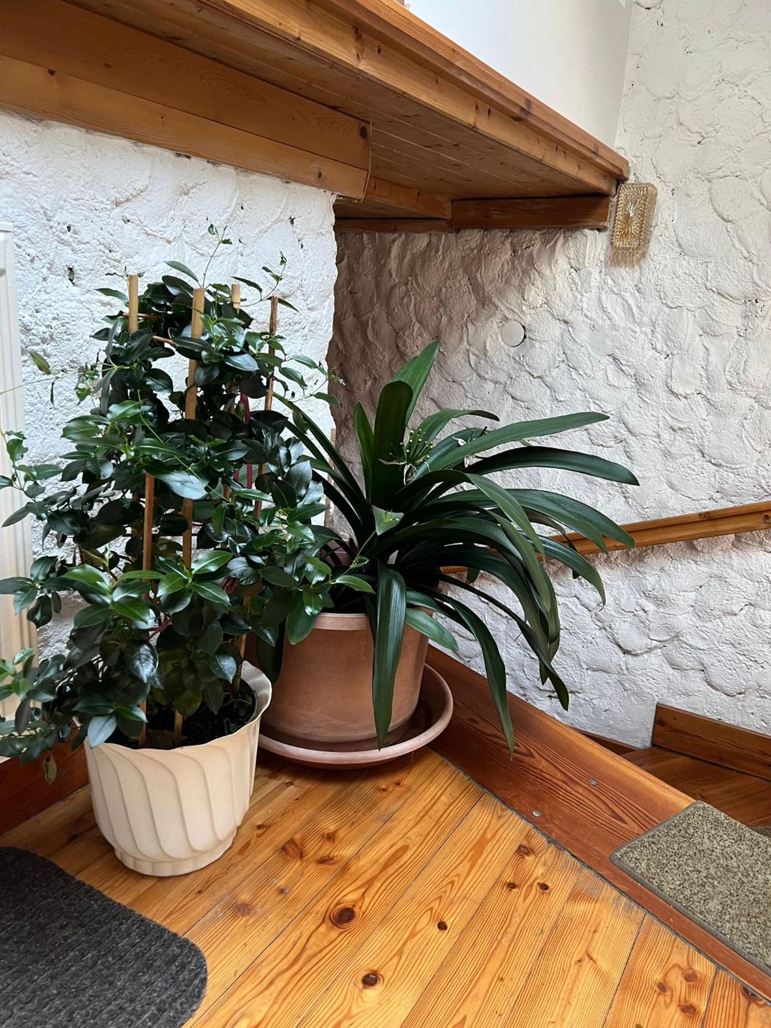 Biohof Goelly Villa Neumarkt in Steiermark Luaran gambar
