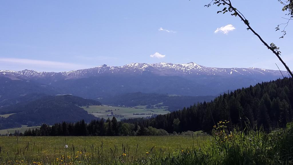 Biohof Goelly Villa Neumarkt in Steiermark Luaran gambar