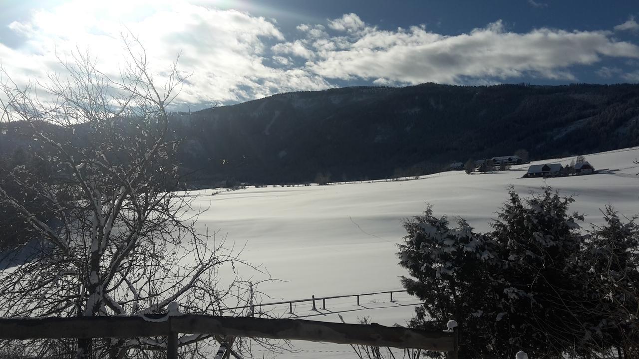 Biohof Goelly Villa Neumarkt in Steiermark Luaran gambar