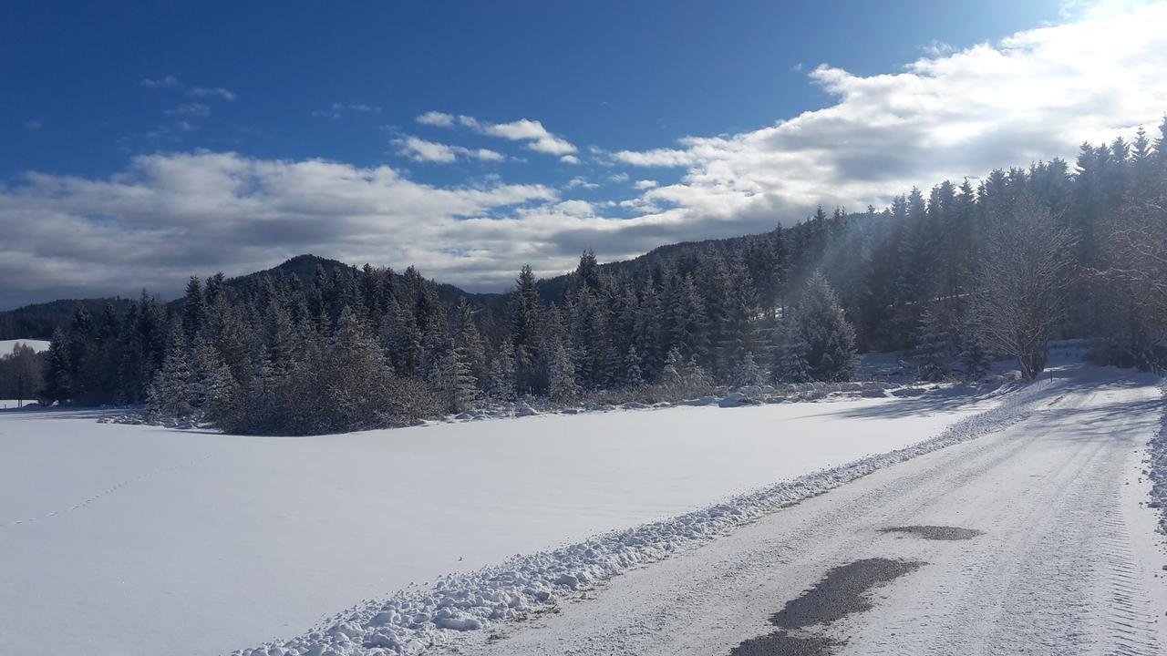 Biohof Goelly Villa Neumarkt in Steiermark Luaran gambar